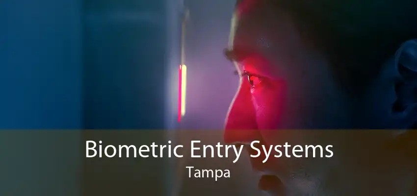 Biometric Entry Systems Tampa