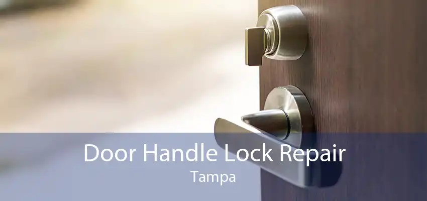 Door Handle Lock Repair Tampa