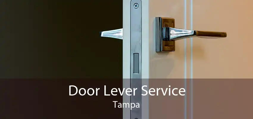 Door Lever Service Tampa