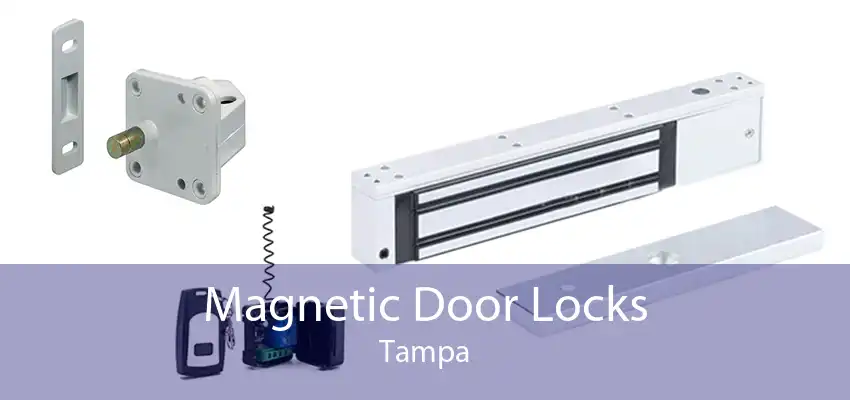 Magnetic Door Locks Tampa