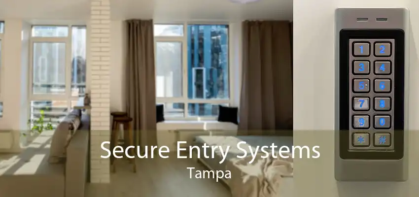 Secure Entry Systems Tampa