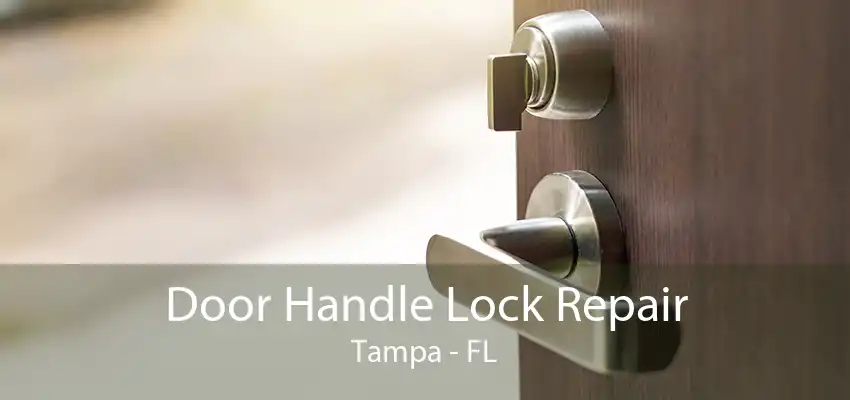 Door Handle Lock Repair Tampa - FL