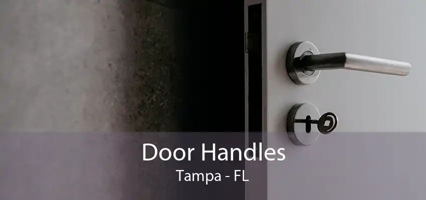 Door Handles Tampa - FL