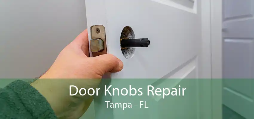 Door Knobs Repair Tampa - FL