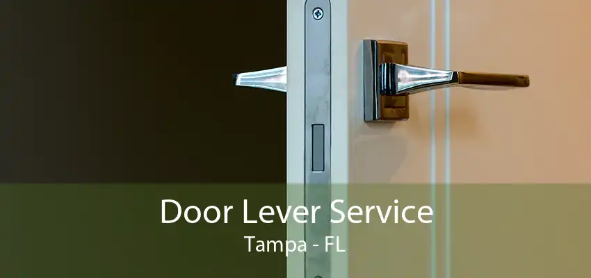 Door Lever Service Tampa - FL