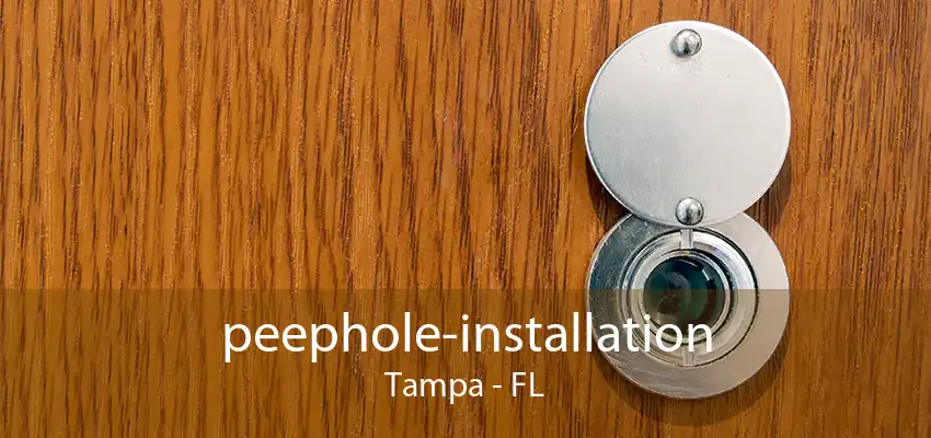 peephole-installation Tampa - FL